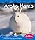 Arctic Hares by Helen Frost