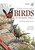 Larger Illustrated Guide to Birds of Southern Africa