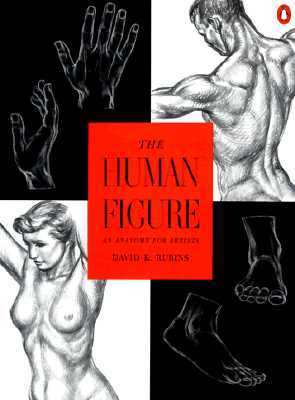 The Human Figure: An Anatomy for Artists (Paperback)