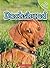 Dachshund (Top Dogs (Childr...