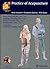 Practice of Acupuncture by Hans-Ulrich Hecker