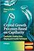 Crystal Growth Processes Based on Capillarity: Czochralski, Floating Zone, Shaping and Crucible Techniques