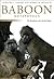 Baboon Metaphysics: The Evolution of a Social Mind