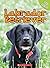 Labrador Retriever (Top Dogs)
