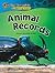 Animal Records (Reading Essentials Exploring Science)