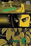 Vagabond, Vol. 3