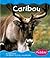 Caribou (Pebble Books)