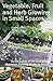 Vegetable, Fruit and Herb Growing in Small Spaces