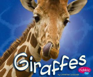 Giraffes (Pebble Plus; African Animals)