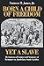 Born a Child of Freedom, Yet a Slave: Mechanisms of Control and Strategies of Resistance in Antebellum South Carolina