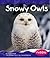 Snowy Owls (Pebble Books)