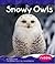 Snowy Owls (Pebble Books)