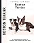 Boston Terrier (Comprehensive Owner's Guide)