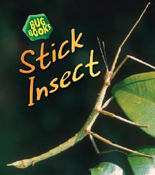Stick Insect (Paperback)