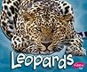 Leopards (Pebble Plus, African Animals)