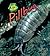 Pill Bug (Bug Books)