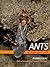 Ants of New Zealand
