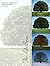 The Life Span: Human Develo...