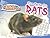 The Facts On Rats