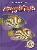 Angelfish (Blastoff! Readers: Oceans Alive)