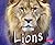 Lions by Catherine Ipcizade