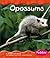 Opossums (Pebble Books)