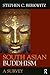 South Asian Buddhism: A Survey
