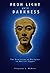 From Light Into Darkness by Stephen S. Mehler