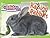 Raising Rabbits (Let's Talk About Pets)
