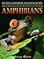 Tree Frogs, Mud Puppies & Other Amphibians (Animal Kingdom Classification)