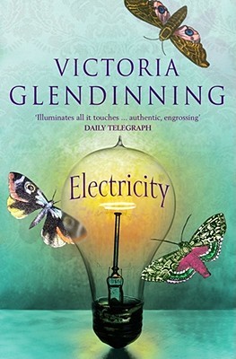 Electricity (Paperback)