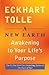 A New Earth: Awakening to Your Life's Purpose