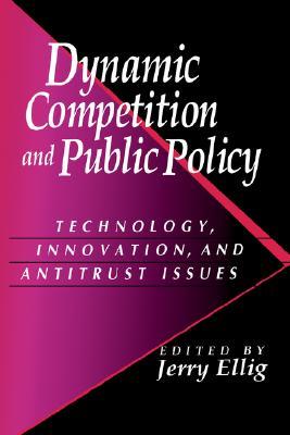 Dynamic Competition and Public Policy: Technology, Innovation, and Antitrust Issues (Hardcover)