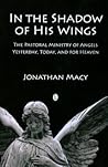 In the Shadow of His Wings: The Pastoral Ministry of Angels: Yesterday, Today, and for Heaven
