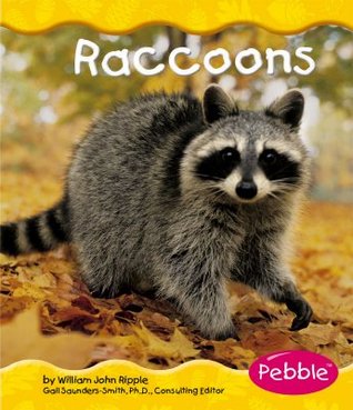 Raccoons (Pebble Books)