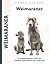Weimaraner by Lavonia Harper