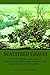 Scattered Graves: The Civil War Campaigns of Confederate Brigadier General and Cherokee Chief Stand Watie