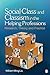 Social Class and Classism in the Helping Professions: Research, Theory, and Practice