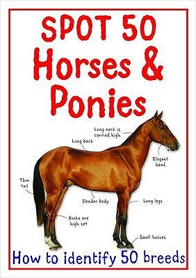Spot 50 Horses & Ponies (Paperback)