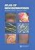 Atlas of Genodermatoses by Ruggero Caputo