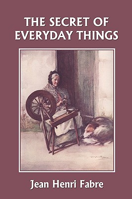 The Secret of Everyday Things (Paperback)