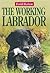 The Working Labrador
