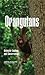 Orangutans: Behavior, Ecology, and Conservation