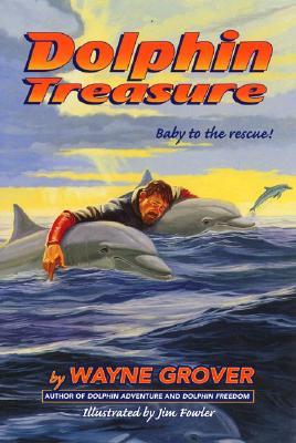Dolphin Treasure (Dolphin Adventure #3)