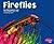 Fireflies (Pebble Plus)