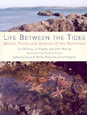 Life Between the Tides: Marine Plants and Animals of the Northeast (Paperback)