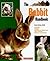 The Rabbit Handbook (B.E.S....