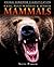 Bats, Blue Whales & Other Mammals (Animal Kingdom Classification)