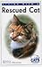 Living With a Rescued Cat