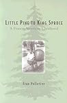 Little Pine to King Spruce